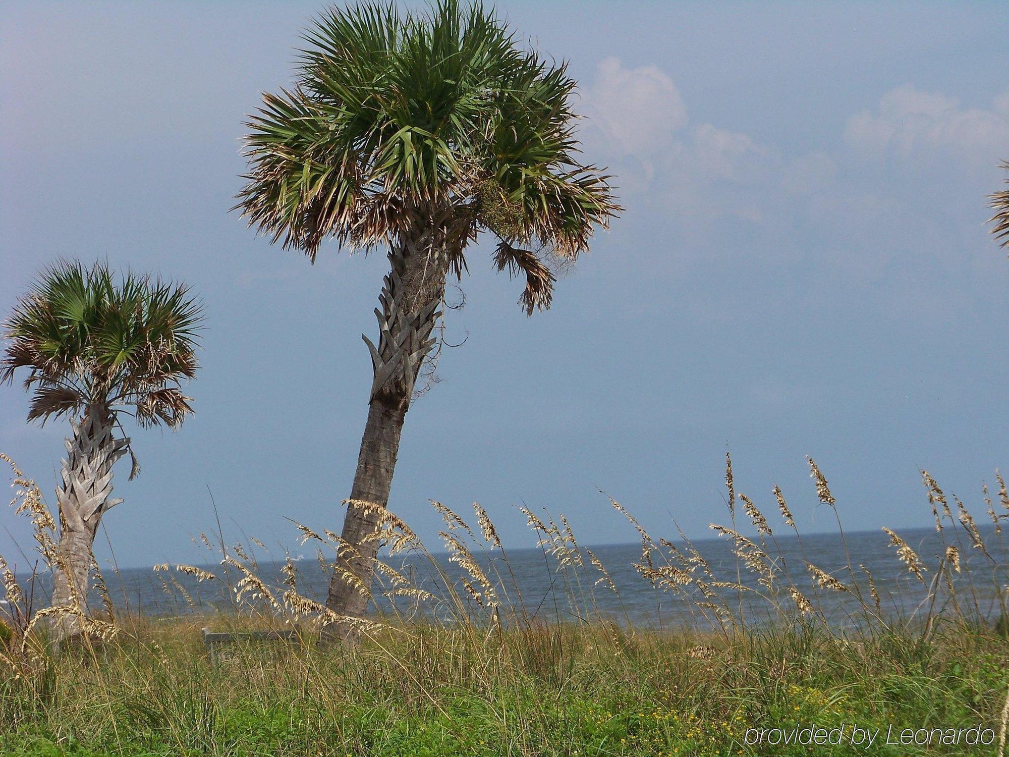 فندق هوليداي إن إكسبريس سانت سيمونز آيلاند St. Simons Island المظهر الخارجي الصورة